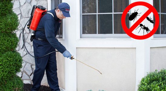 Adaklı Karınca İlaçlama böcek ilaçlama ve haşere kontrolü — ilaclama-tr.com